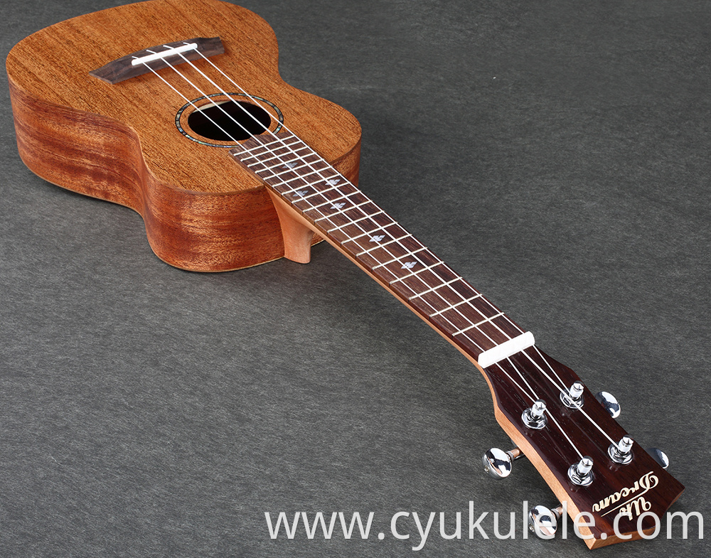 ukulele20